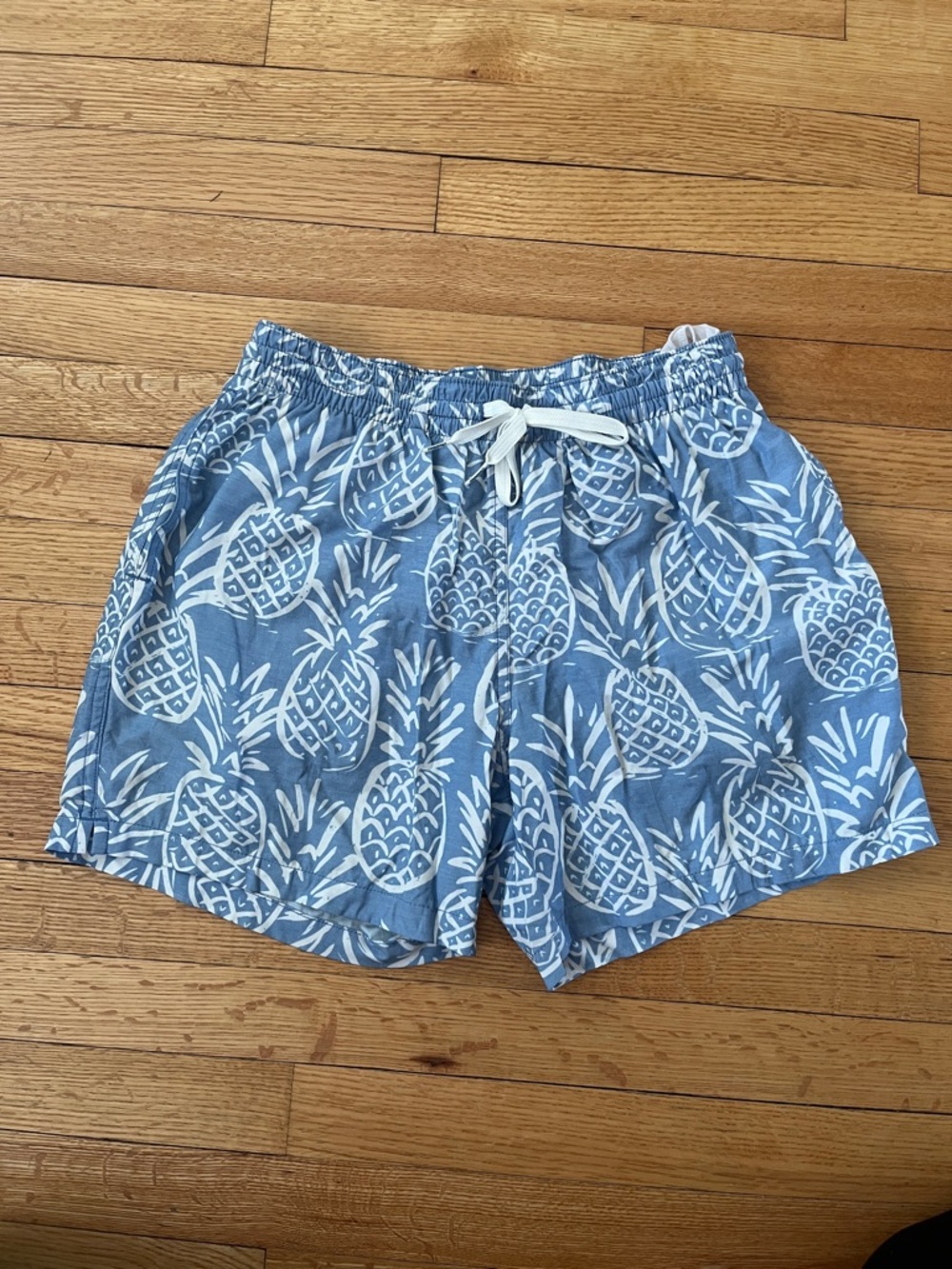 chubbies Light Blue Pineapple Print Swim Trunks